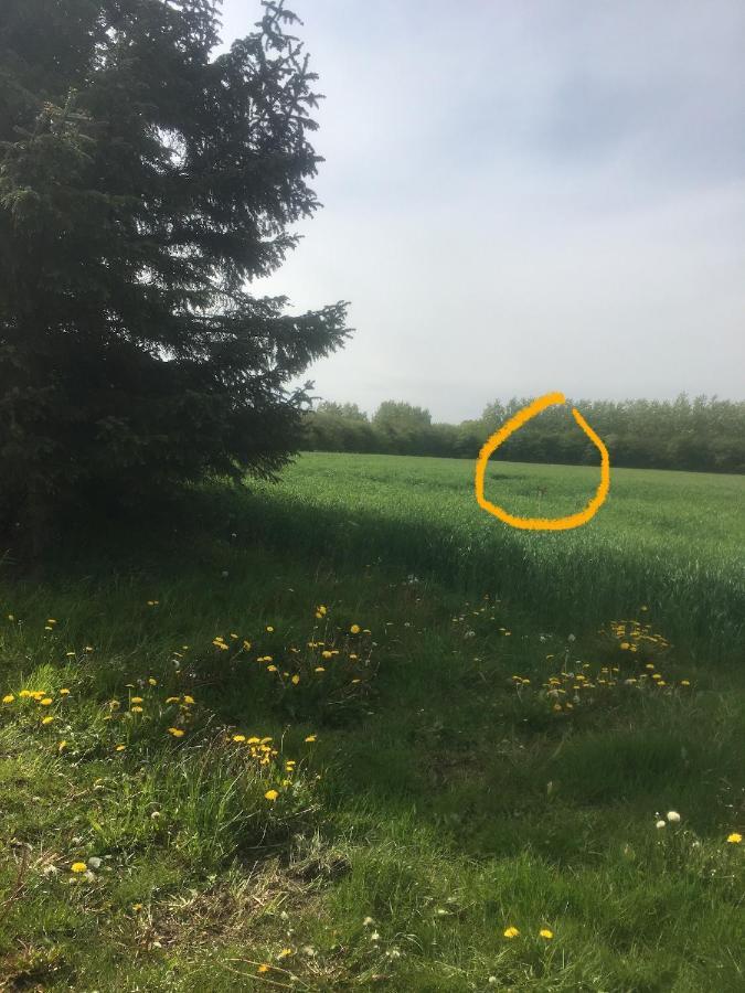 Vila Jaegergard Skærbæk Exteriér fotografie